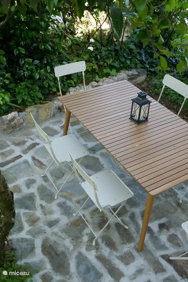 Terrasse mit Esstisch und Stühlen unter Orangenbaum und Kamelie