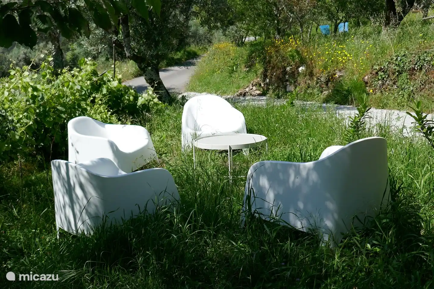 Entspannendes Sitzen im Gras, neben den Weinreben und unter dem Olivenbaum