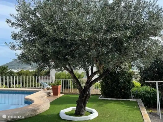 Casa Campo Belleza | Espagne, Costa Blanca, Pedreguer - villa Olivier