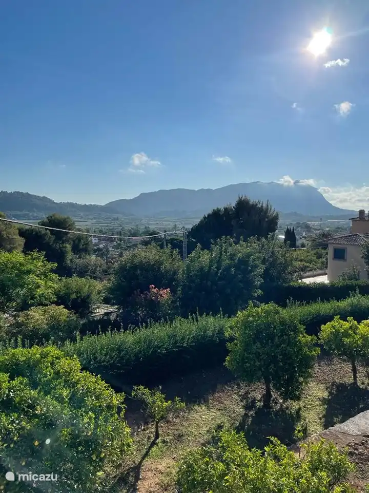 View dining room/conservatory