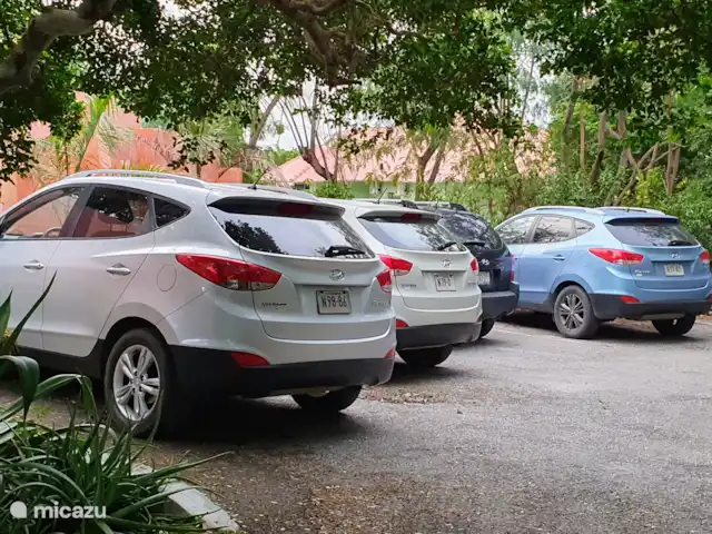 Apartment Jeremi with pool in Curaçao, Curacao-Middle, Julianadorp - bed & breakfast You can park on our own property, near the apartment. We can also arrange car rental.