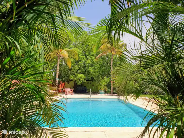 Apartment Jeremi with pool in Curaçao, Curacao-Middle, Julianadorp - bed & breakfast