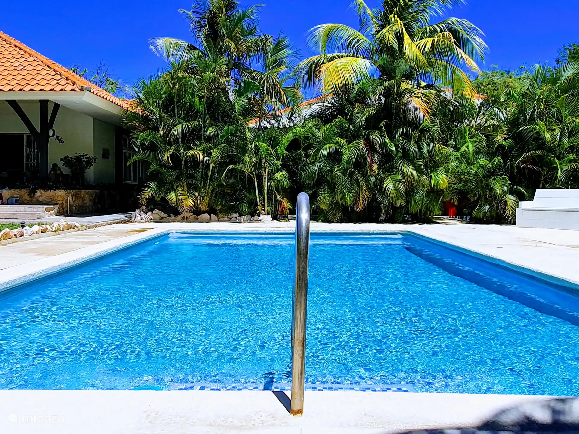 Apartment Jeremi with pool in Curaçao, Curacao-Middle, Julianadorp - Bed & Breakfast