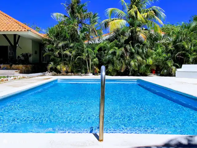 Apartment Jeremi with pool in Curaçao, Curacao-Middle, Julianadorp - bed & breakfast Large swimming pool with lounge chairs, sunbeds and space in sun or shade