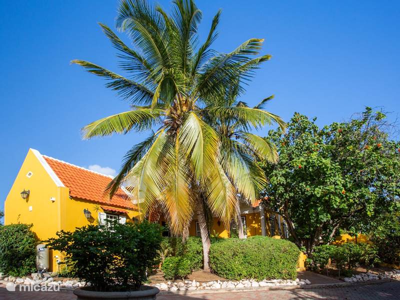 Ferienwohnung Curaçao, Curacao-Mitte, Willemstad Appartement Luxuswohnung 5 Minuten von Mambo entfernt