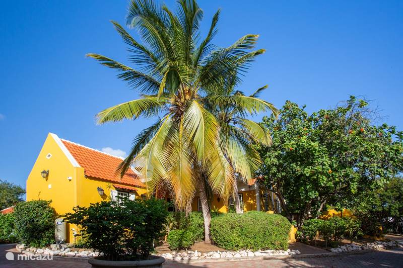 Vacation rental Curaçao, Curacao-Middle, Willemstad Apartment Luxury studio apartment at country house