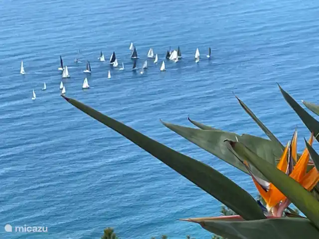 Vista al Mar | Espagne, Costa Blanca, Altea - appartement Compétition de voile devant notre appartement