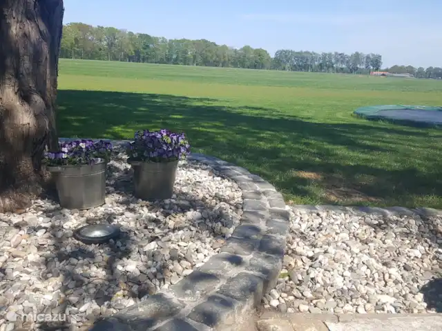 casa vacacional en Países Bajos, Overijssel, Haaksbergen – El Bakspieker en la finca Lankheet Vista desde la terraza sobre los prados
