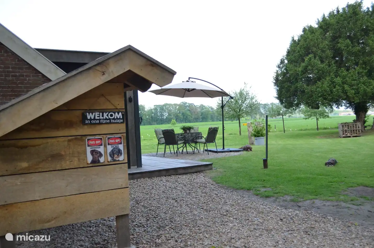 Nos chiens Sem et Vince apprécient toujours l'arrivée de nouveaux invités.