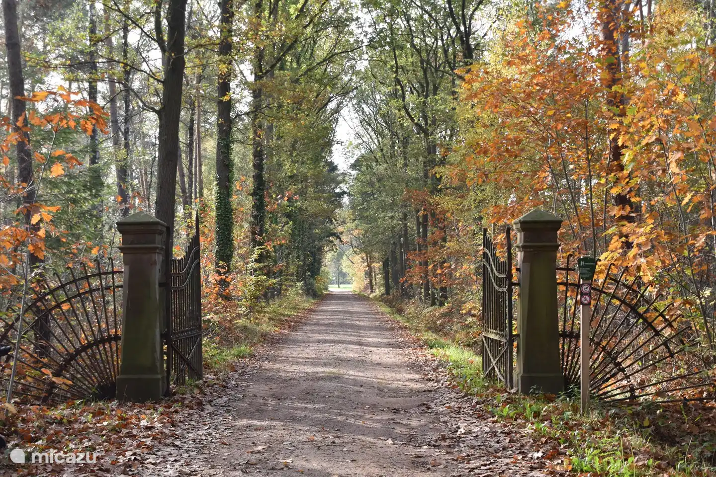 L'ancienne porte de 1895 avec l'allée de notre domaine