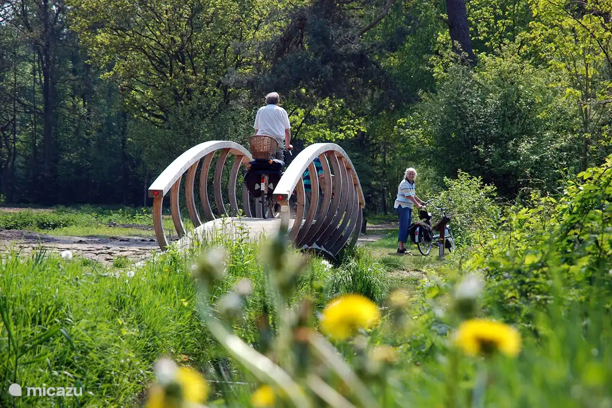 Pont au parc aquatique Lankheet