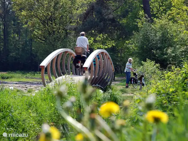 casa vacacional en Países Bajos, Overijssel, Haaksbergen – El Bakspieker en la finca Lankheet Puente en el parque acuático Lankheet