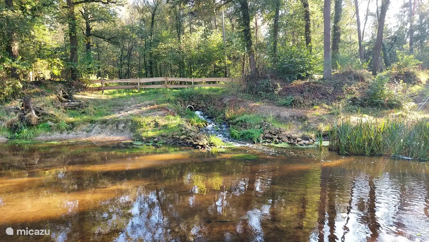 Le Buurserbeek traverse le domaine