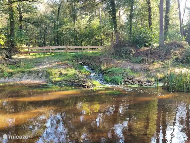 casa vacacional en Países Bajos, Overijssel, Haaksbergen – El Bakspieker en la finca Lankheet El Buurserbeek fluye a través de la finca.