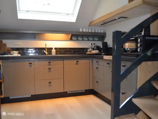 casa vacacional en Países Bajos, Overijssel, Haaksbergen – El Bakspieker en la finca Lankheet La acogedora cocina está lujosamente equipada con placa de inducción, frigorífico, horno y lavavajillas.