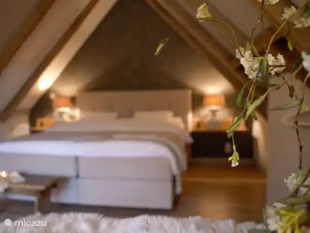 casa vacacional en Países Bajos, Overijssel, Haaksbergen – El Bakspieker en la finca Lankheet La ropa de cama también es de alta calidad, de un blanco agradable y fresco.