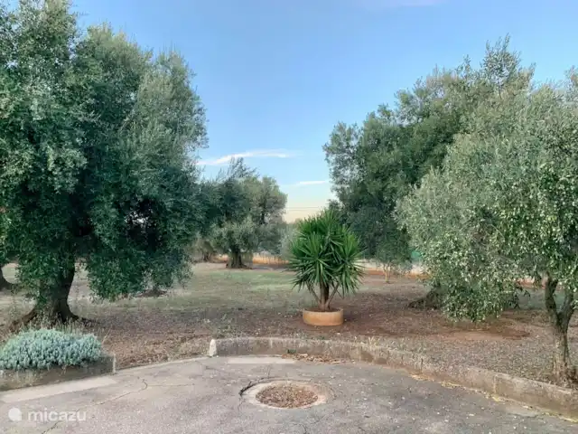 Villa LVM | Italie, Pouilles (Puglia), San Vito dei Normanni - villa Jardin