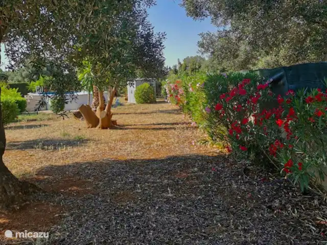Villa LVM | Italie, Pouilles (Puglia), San Vito dei Normanni - villa Jardin privatif entièrement clos 6500m2