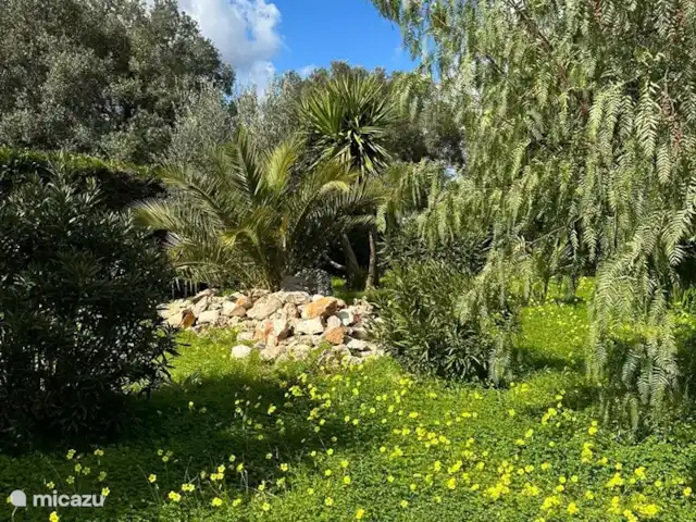 Villa LVM | Italie, Pouilles (Puglia), San Vito dei Normanni - villa Jardin privatif entièrement clos