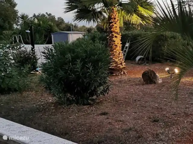 Villa LVM | Italie, Pouilles (Puglia), San Vito dei Normanni - villa Jardin privatif entièrement clos 6500m2