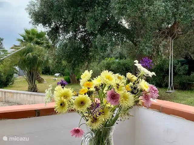 Villa LVM | Italie, Pouilles (Puglia), San Vito dei Normanni - villa Vue du porche 2