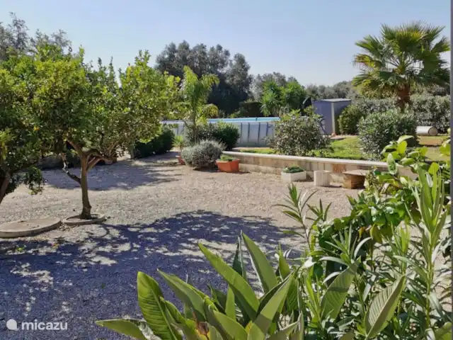 Villa LVM | Italie, Pouilles (Puglia), San Vito dei Normanni - villa Jardin entièrement clos