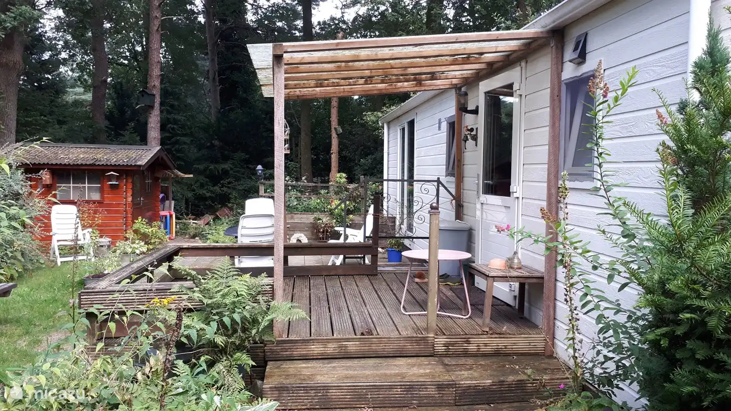 the great tit in Netherlands, Drenthe, Diever - Chalet