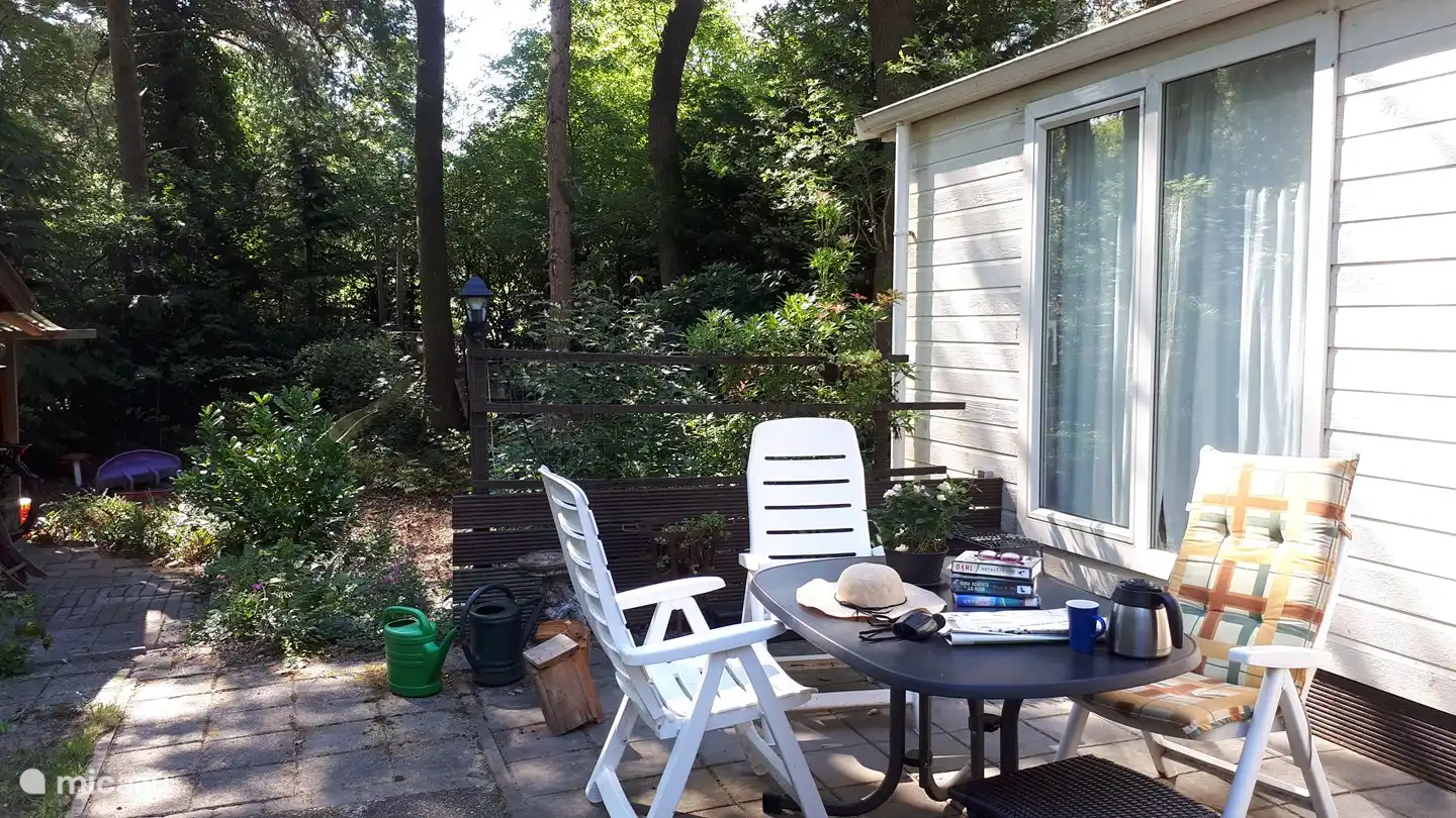 the great tit in Netherlands, Drenthe, Diever - Chalet