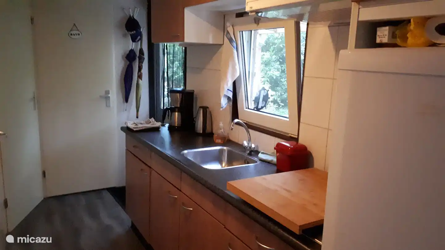 the great tit in Netherlands, Drenthe, Diever - Chalet