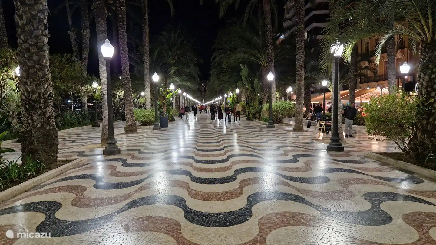Lorsque vous arrivez à la Casa Gran Mirador, vous verrez la ville d'Alicante au loin. La distance est d'environ 16 kilomètres (25 minutes en voiture). Voici le plus beau boulevard d'Espagne ; l'Explanada! Vous irez certainement ici.