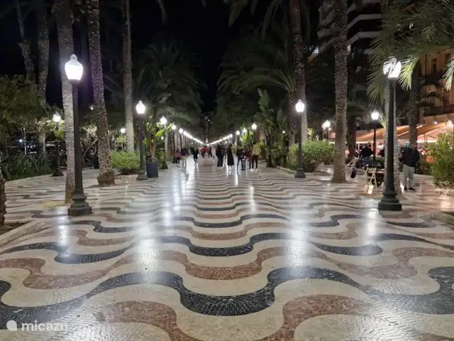 Casa Grand Mirador | Espagne, Costa Blanca, Muchamiel - Alicante - villa Lorsque vous arrivez à la Casa Gran Mirador, vous verrez la ville d'Alicante au loin. La distance est d'environ 16 kilomètres (25 minutes en voiture). Voici le plus beau boulevard d'Espagne ; l'Explanada! Vous irez certainement ici.
