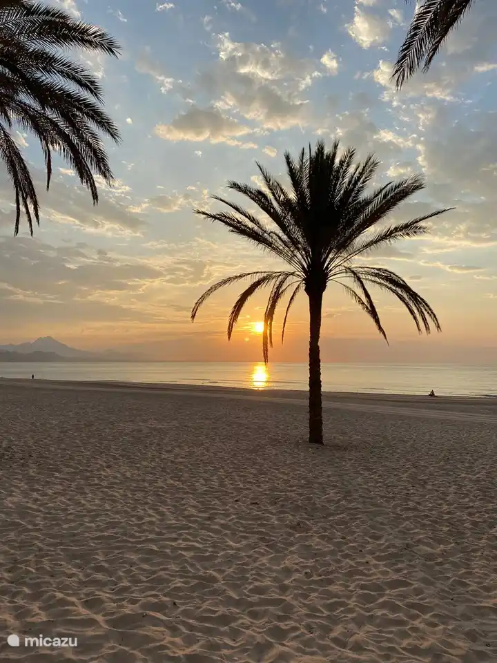 Allez à la plage le matin et profitez des plus beaux levers de soleil !