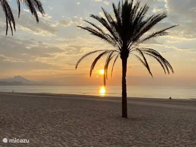 Casa Grand Mirador | Espagne, Costa Blanca, Muchamiel - Alicante - villa Allez à la plage le matin et profitez des plus beaux levers de soleil !