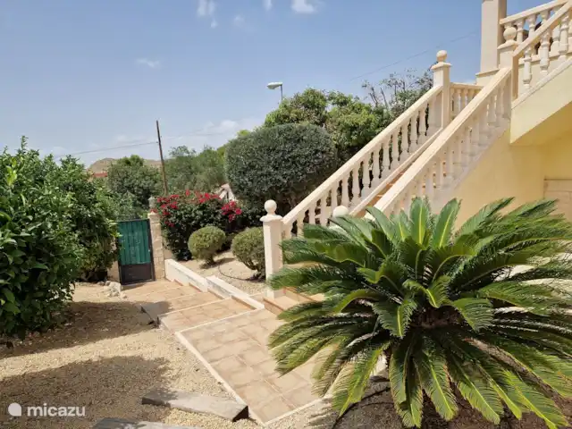 Casa Grand Mirador | Espagne, Costa Blanca, Muchamiel - Alicante - villa Le jardin est à couper le souffle. De beaux oliviers, des orangers, des palmiers de la paix et bien sûr des agrumes.