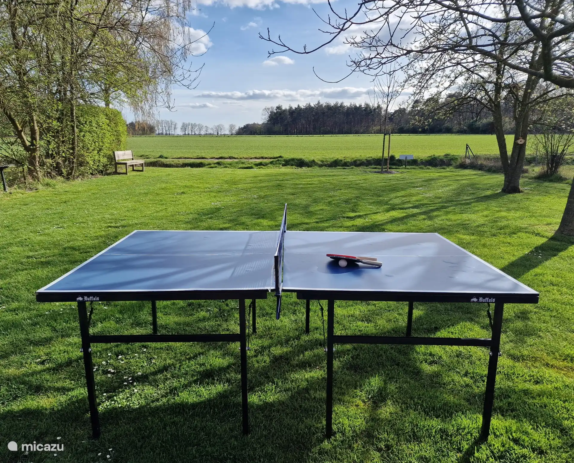 Tischtennis im Garten
