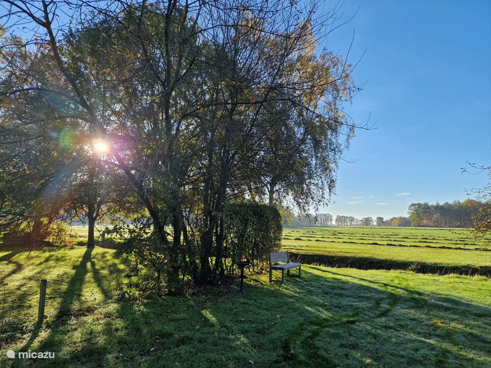Bank am Ende des Obstgartens