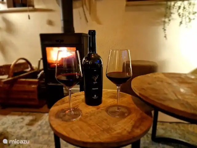 Huisje Weidezicht ● Achterhoek huren in Nederland, Gelderland, Lievelde - vakantiehuis 's Avonds gezellig een wijntje bij de houtkachel