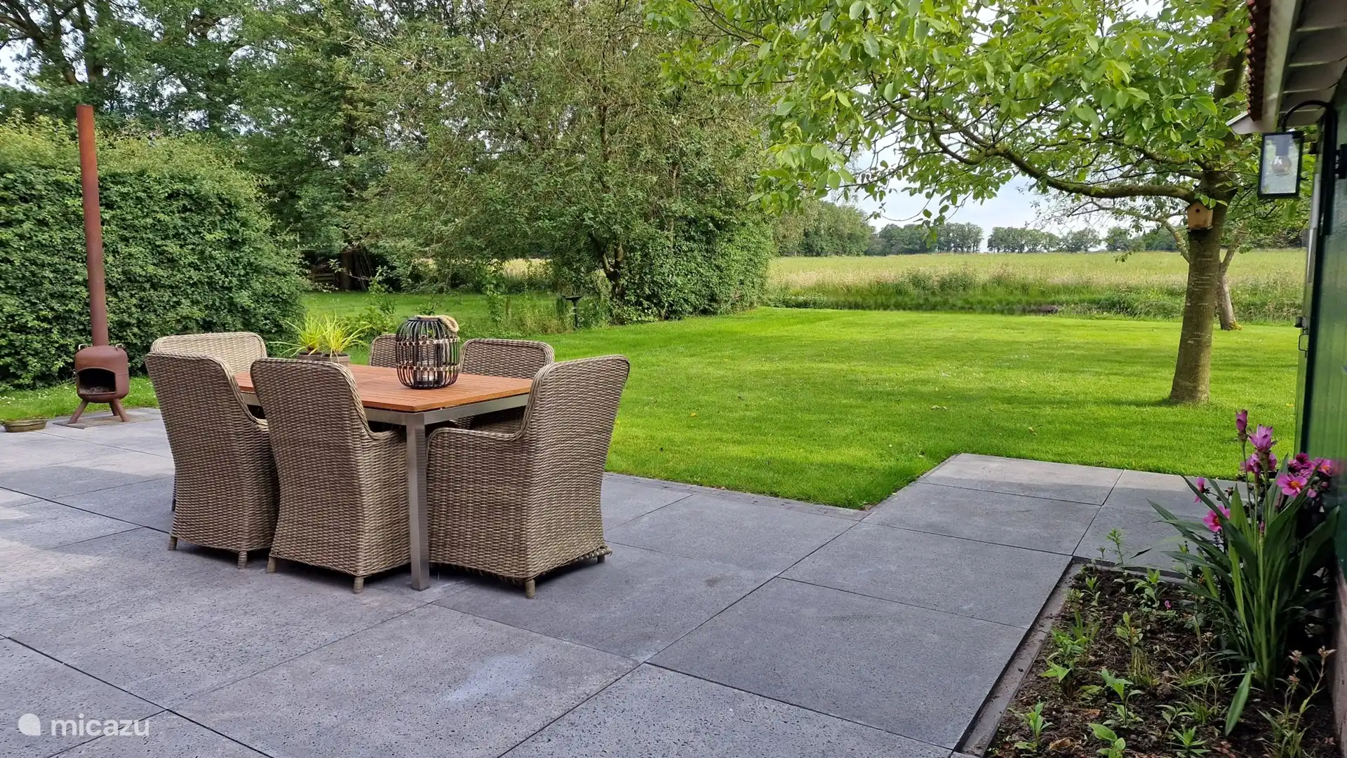 Blick über Wiesen- und Waldrand