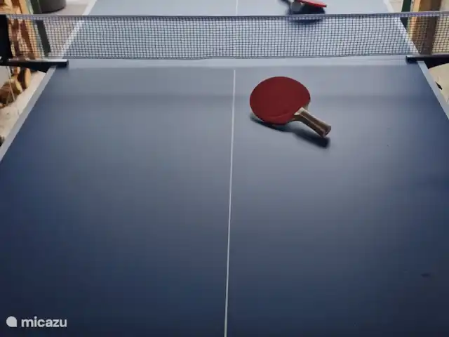 Huisje Weidezicht ● Achterhoek huren in Nederland, Gelderland, Lievelde - vakantiehuis Tafeltennis