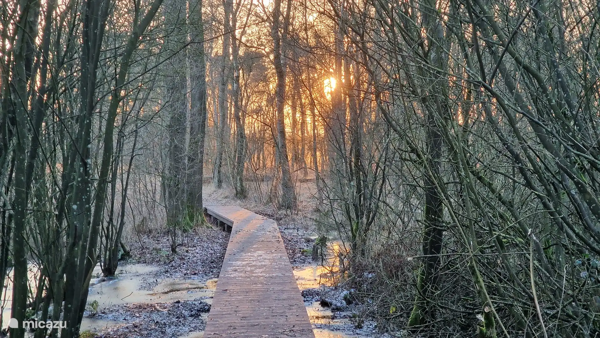 Naturschutzgebiet Tussenderveen