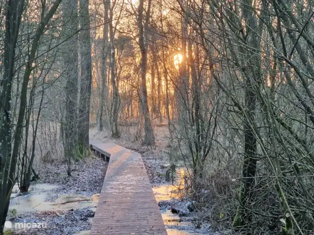 Huisje Weidezicht ● Achterhoek huren in Nederland, Gelderland, Lievelde - vakantiehuis Natuurgebied het Vragenderveen