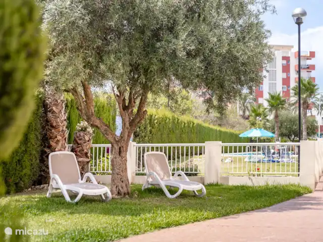 Appartement Plage Arenal | Espagne, Costa Blanca, Jávea - appartement Chaises longues