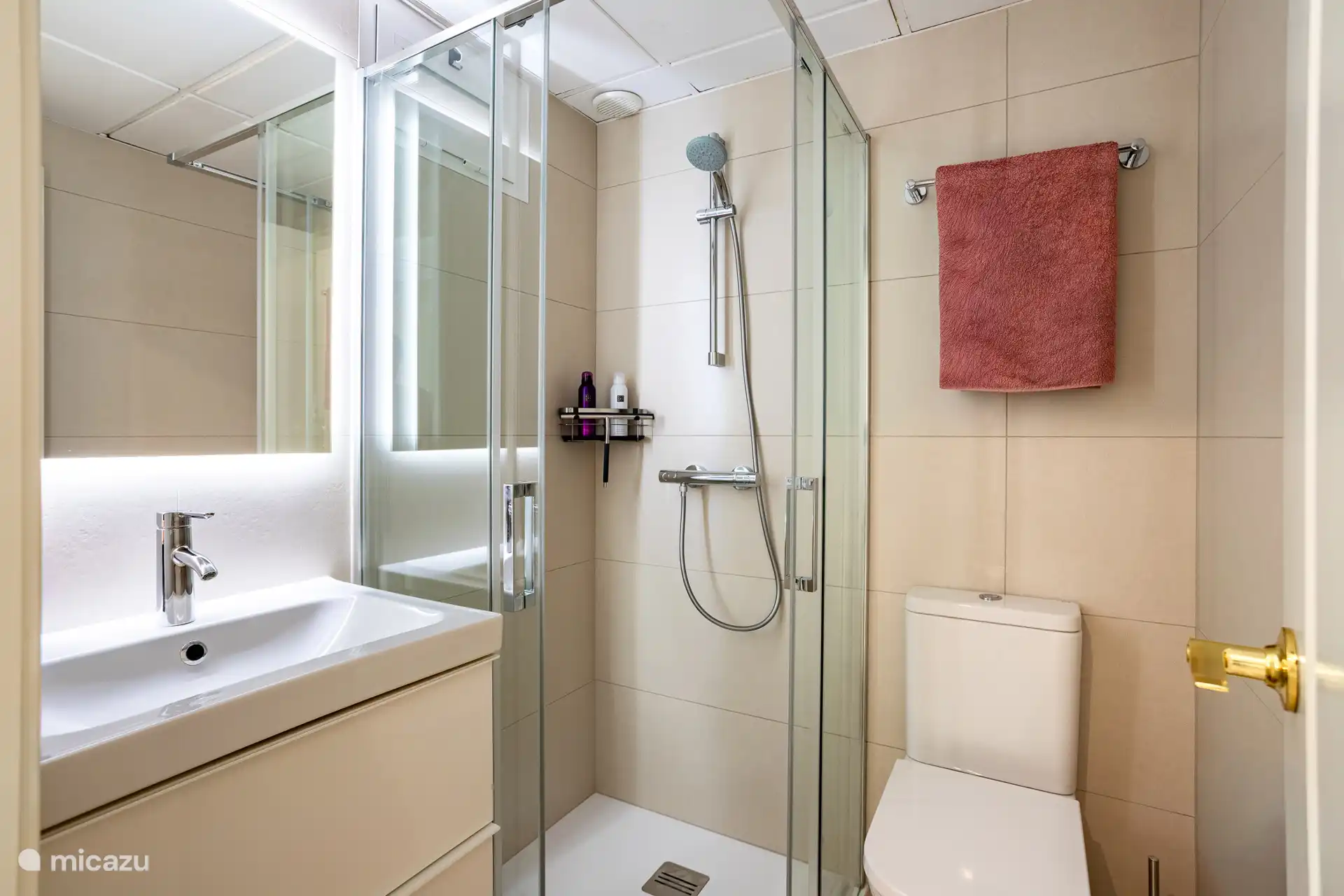 Tweede badkamer voorzien van (veilige) inloopdouche, verhoogd toillet, wastafel en spiegel met verlichting.