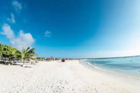 BebéPlaya