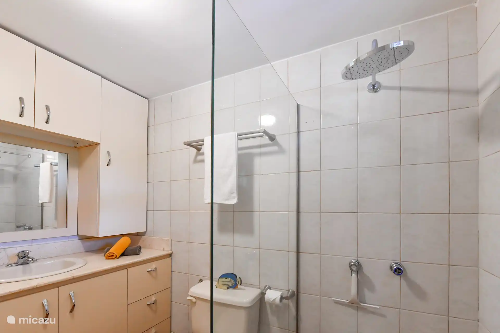 Die Dusche ist mit einer Glaswand und einem großen Duschkopf ausgestattet