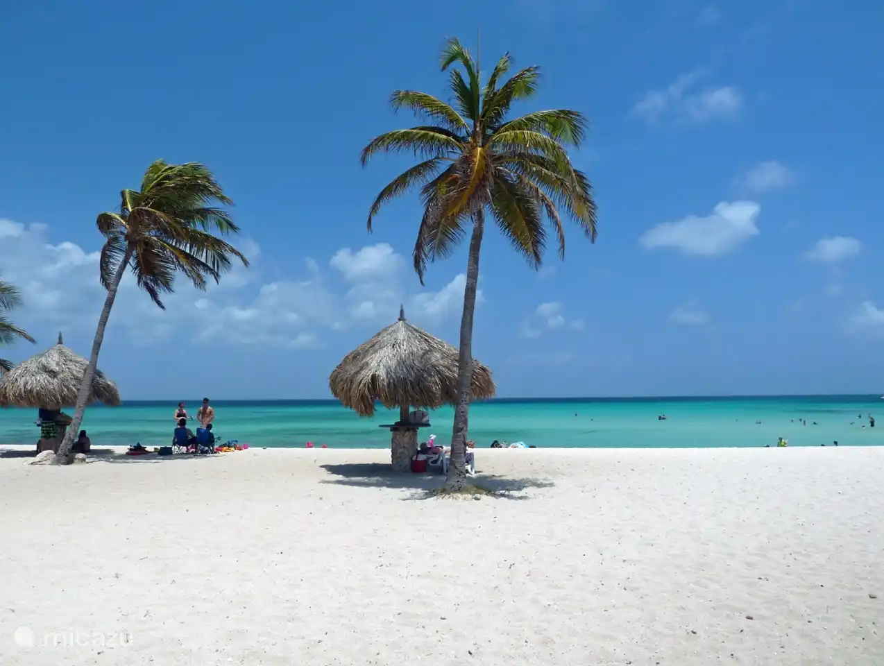 Arashi Beach Einer der Strände auf Aruba, an dem Sie gewesen sein müssen