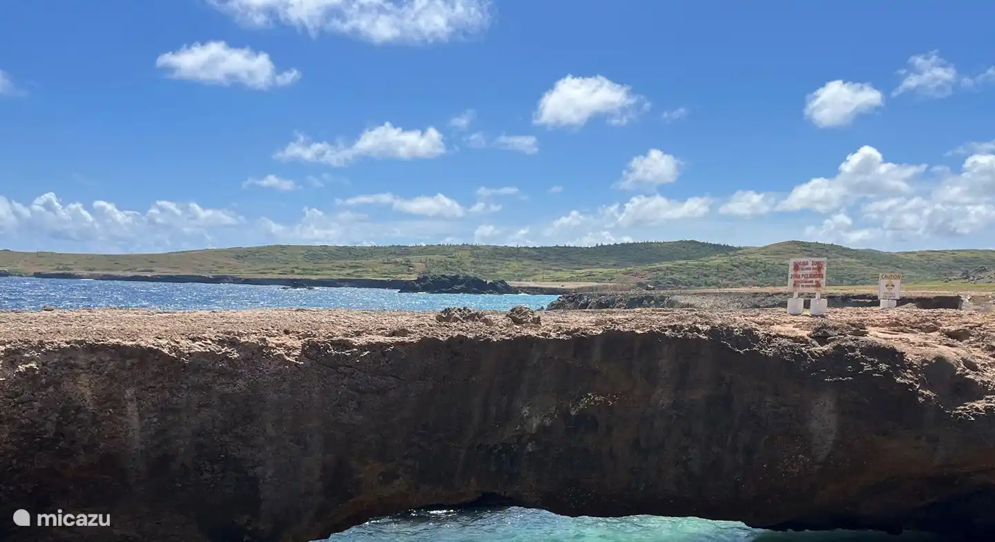 Naturwunder auf Aruba