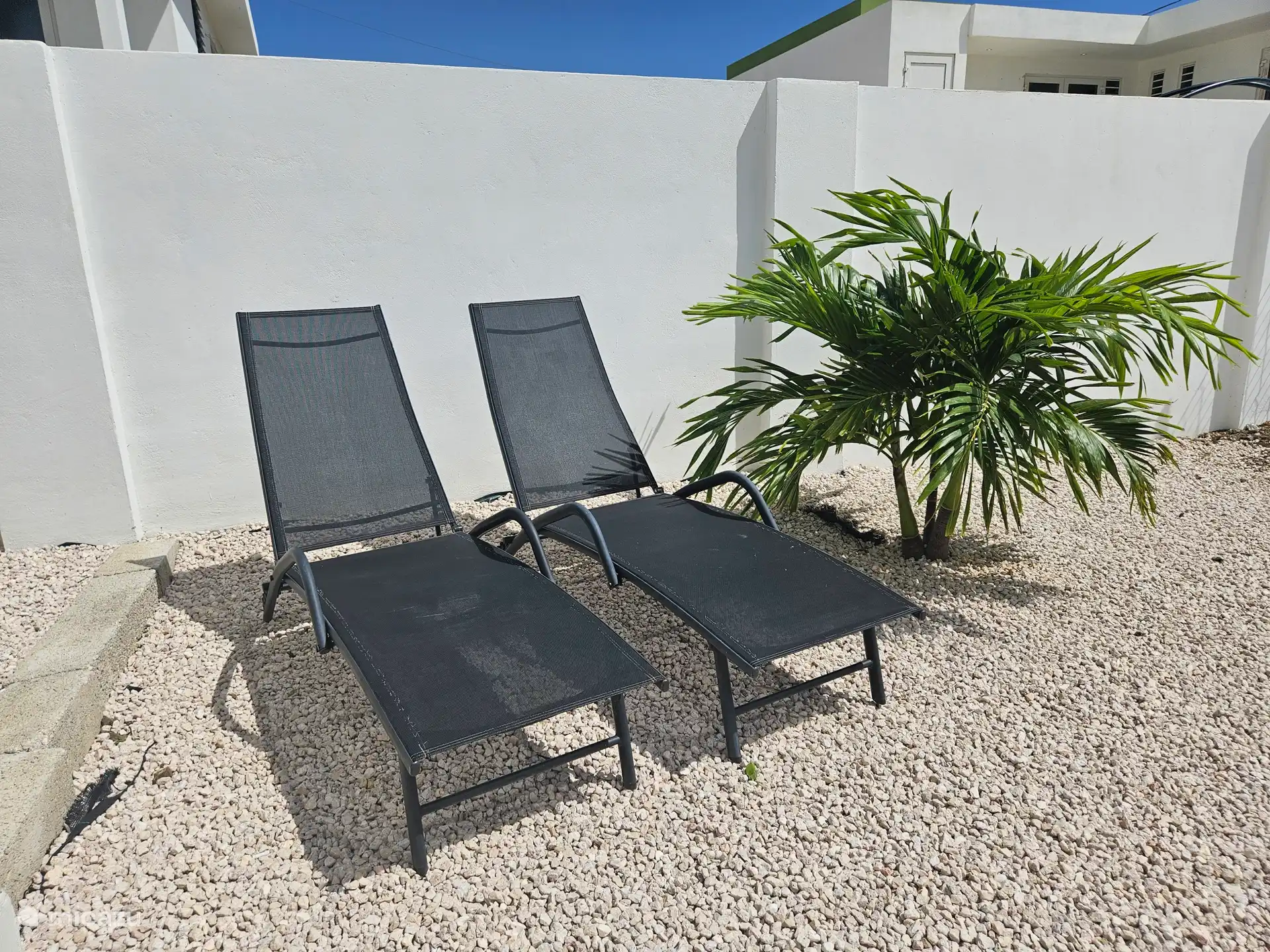 Chaises longues de jardin