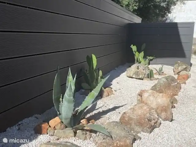 Trullo Président | Italie, Pouilles (Puglia), Martina Franca - maison de vacances Jardin de cactus au bord de la piscine