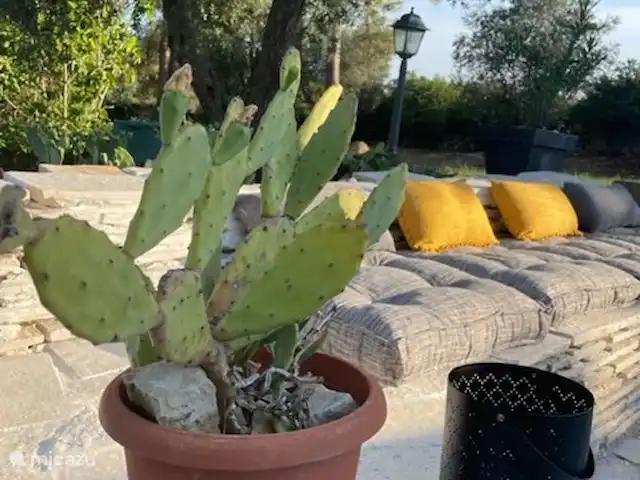 Trullo Président | Italie, Pouilles (Puglia), Martina Franca - maison de vacances Banc de salon